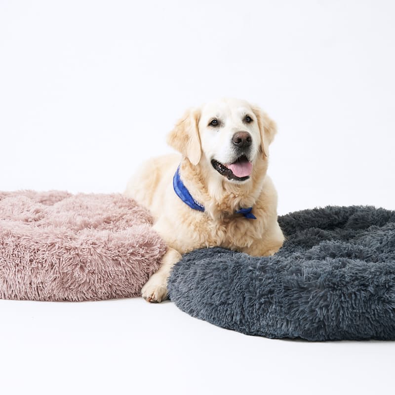 Shaggy sales dog bed