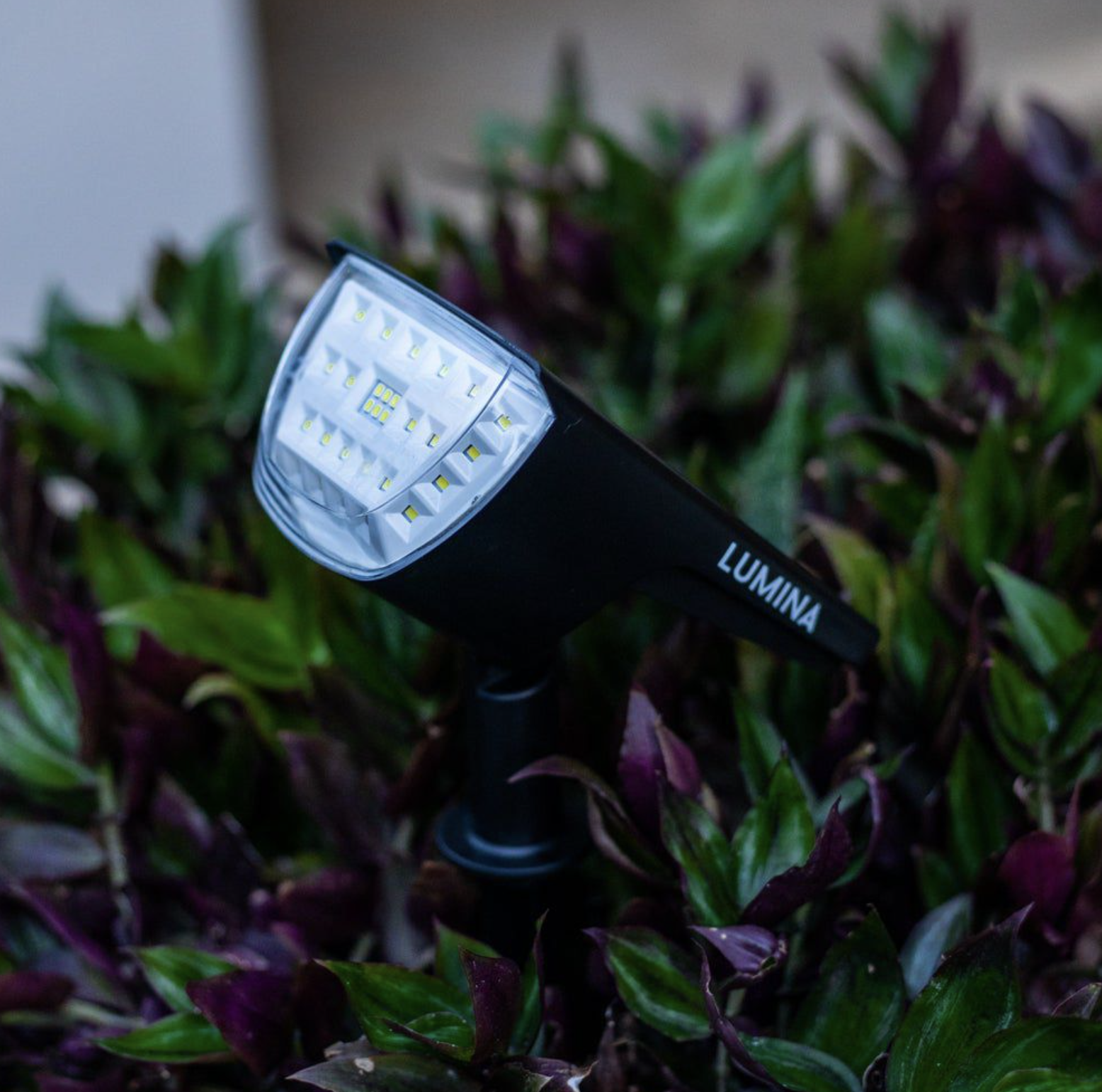 garden bliss solar lights