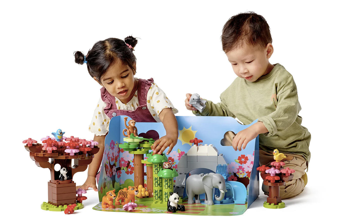 Black Friday Lego Duplo Cyber Monday SA's Best Daily Deals OneDayOnly