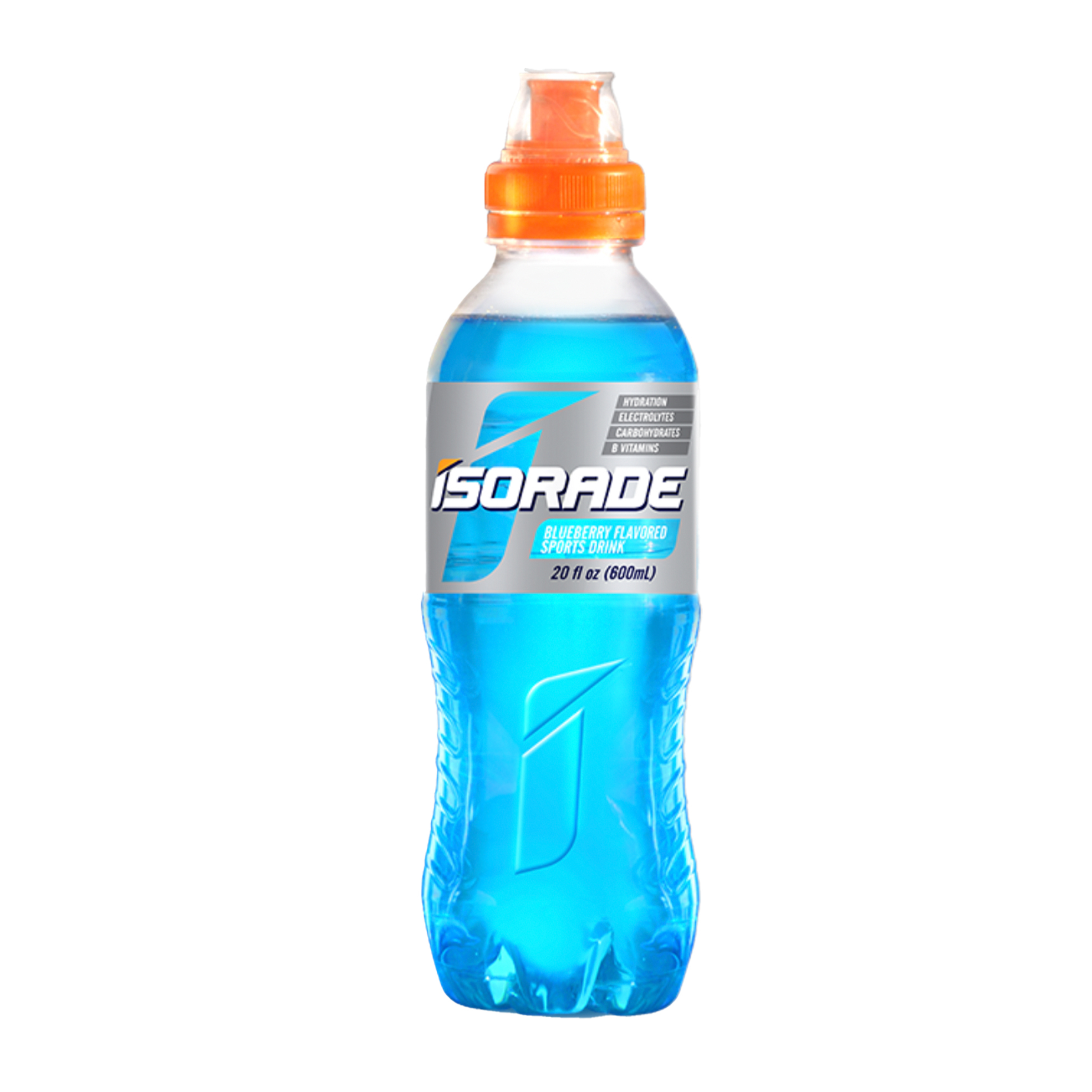 Blueberry - Pack of 24