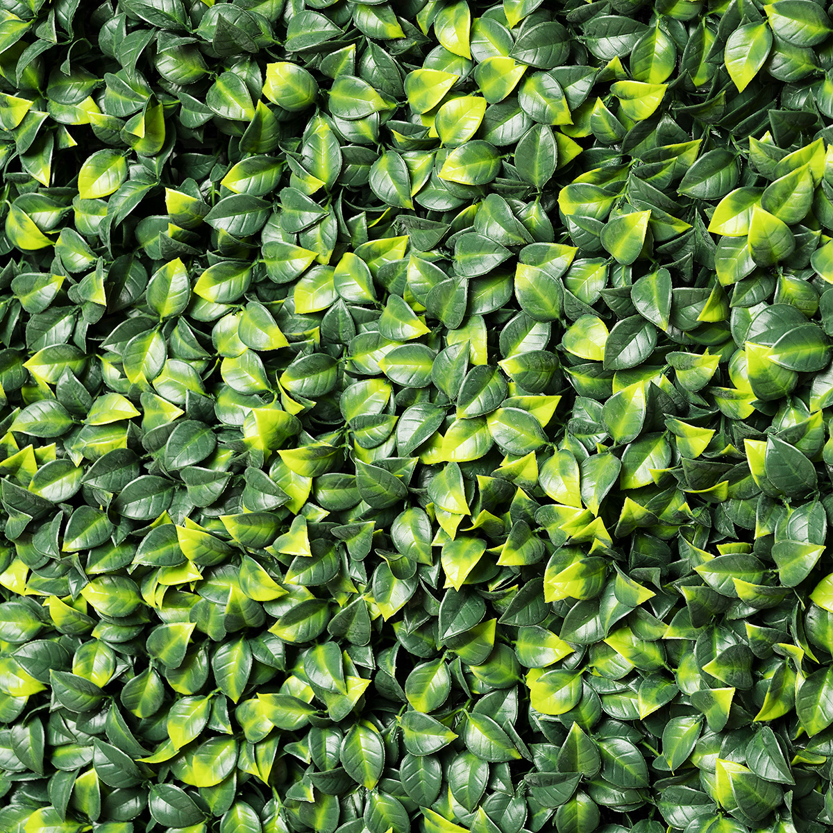 50 x 50cm Artificial Plant Hedge Panel