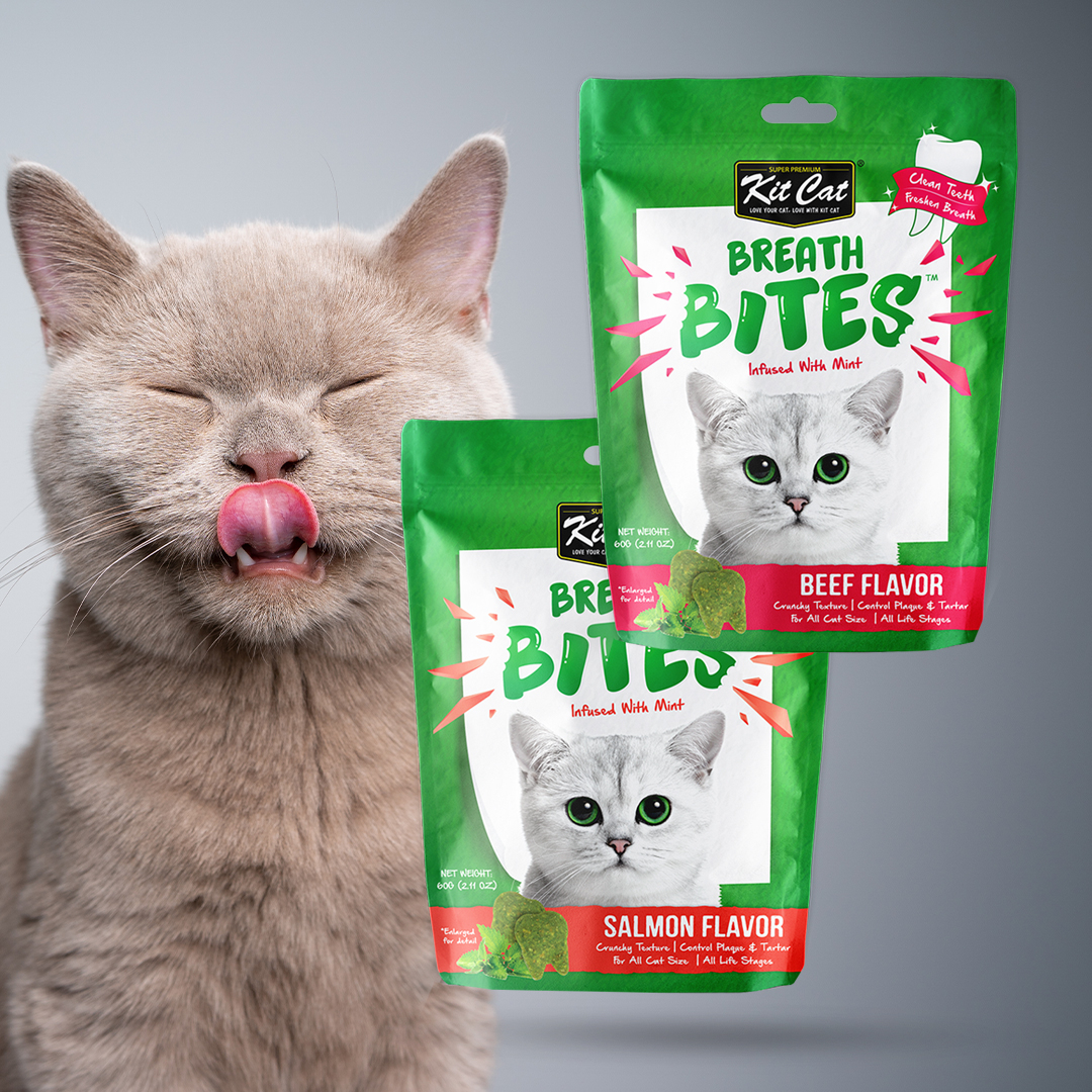 23 Off On Kit Cat 12x 60g Cat Breath Bites OneDayOnly 23-off-on-kit-cat-12x-60g-cat-breath-bites-onedayonly