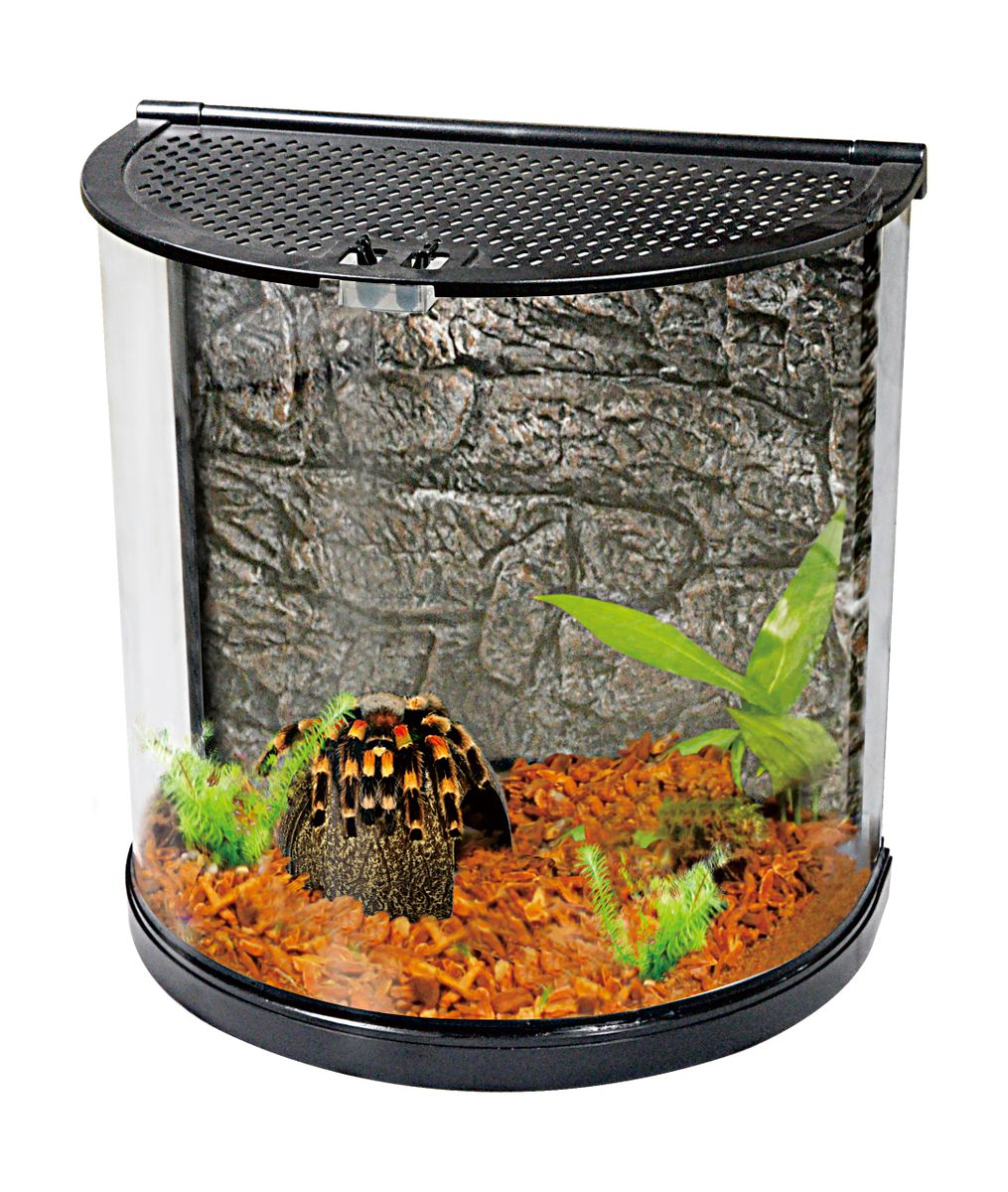 Accessories are Excluded