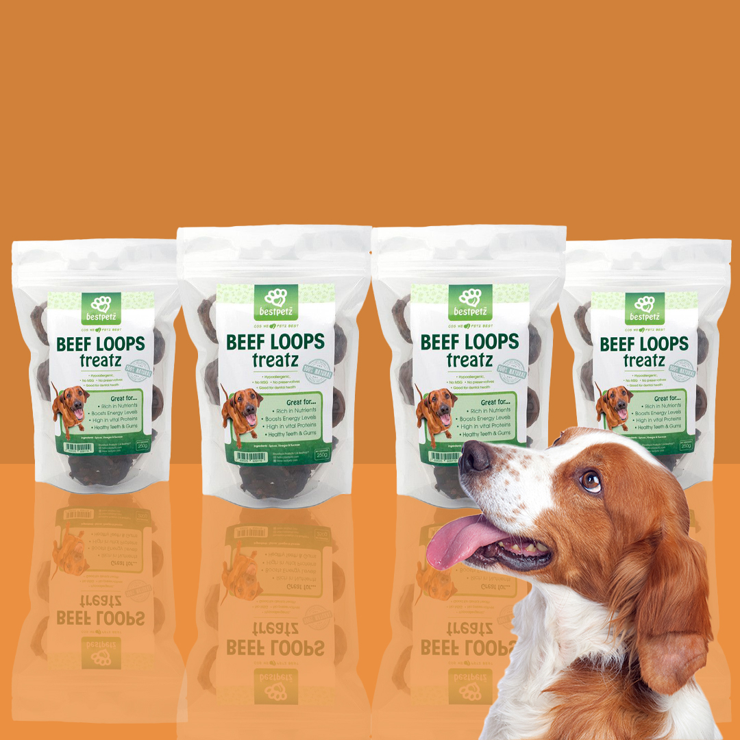 25% off on BestPetz 4x 250g Beef Loops Treatz | OneDayOnly