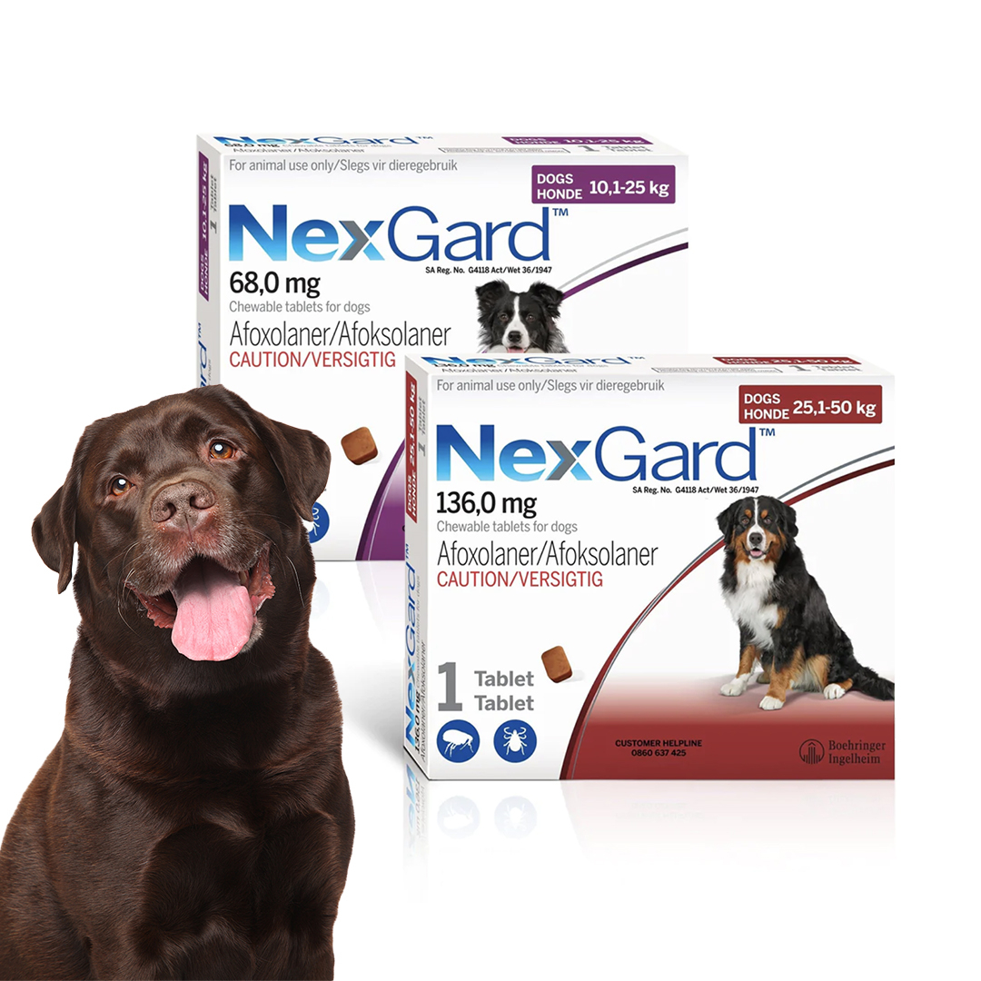 Tick & Flea Chewable Tablets