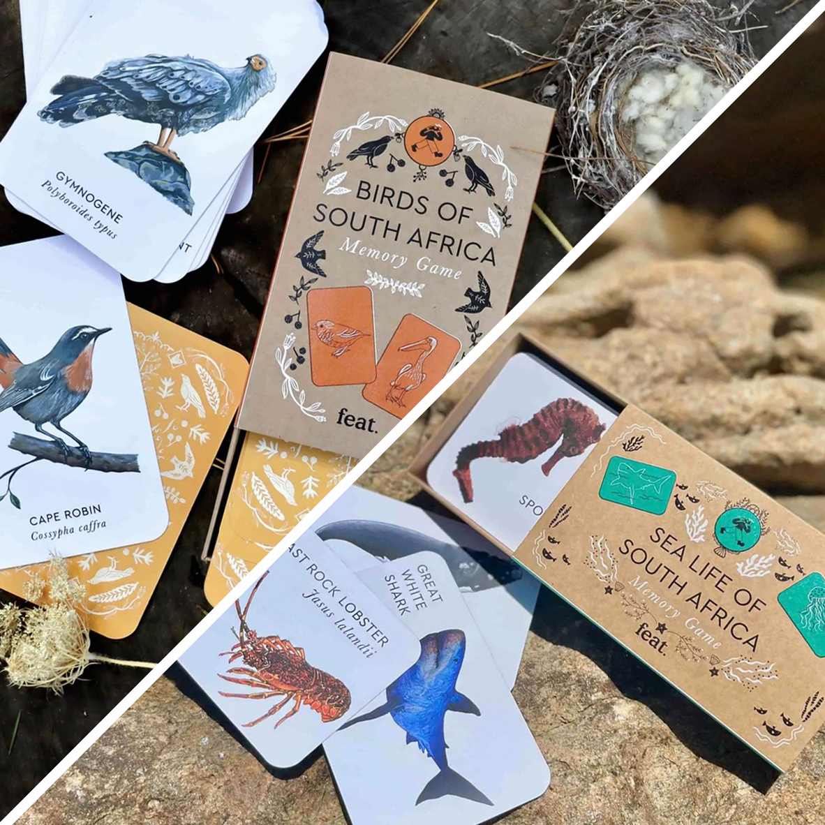 28% off on Birds & Sea Life Memory Card Game | OneDayOnly
