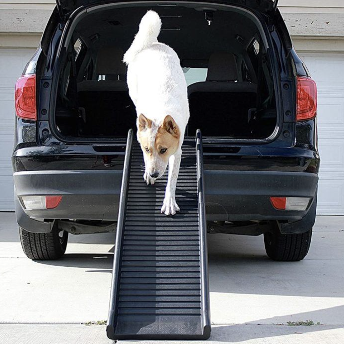Dog Ramps Top Paw Deluxe Telescoping Pet Ramp Dog Steps