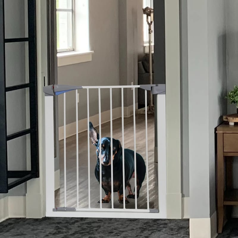 Mobile baby deals gate