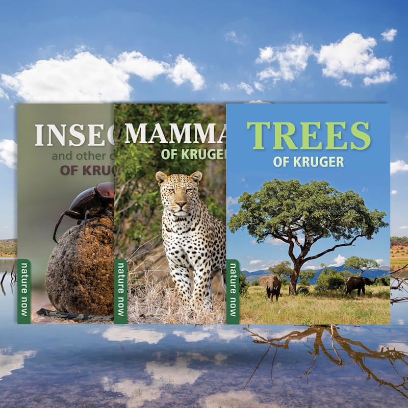 35% off on Kruger National Park Book Bundle (3 Books) | OneDayOnly