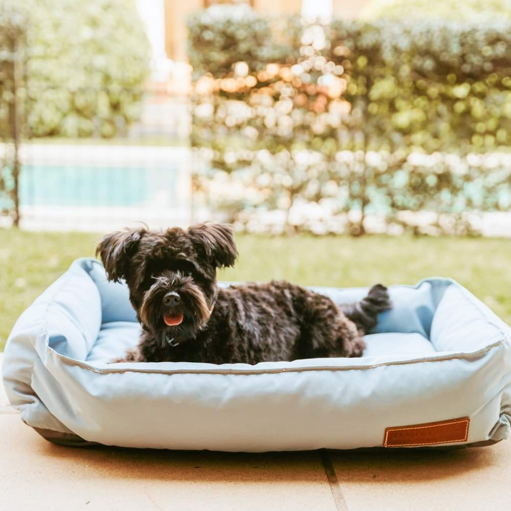 Koletto Square Bolster Pet Bed