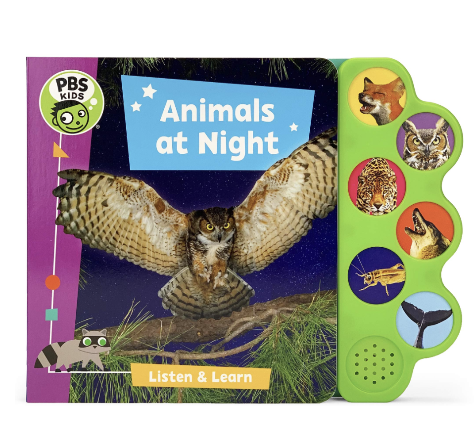 Animals at Night