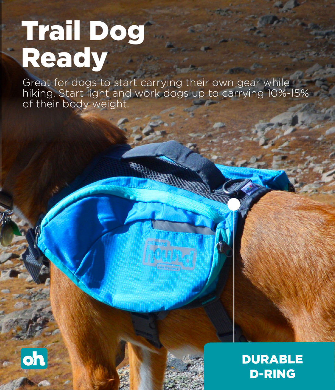 Pet Supplies Outward Hound Dog Backpack Outward Hound Kyjen Dog