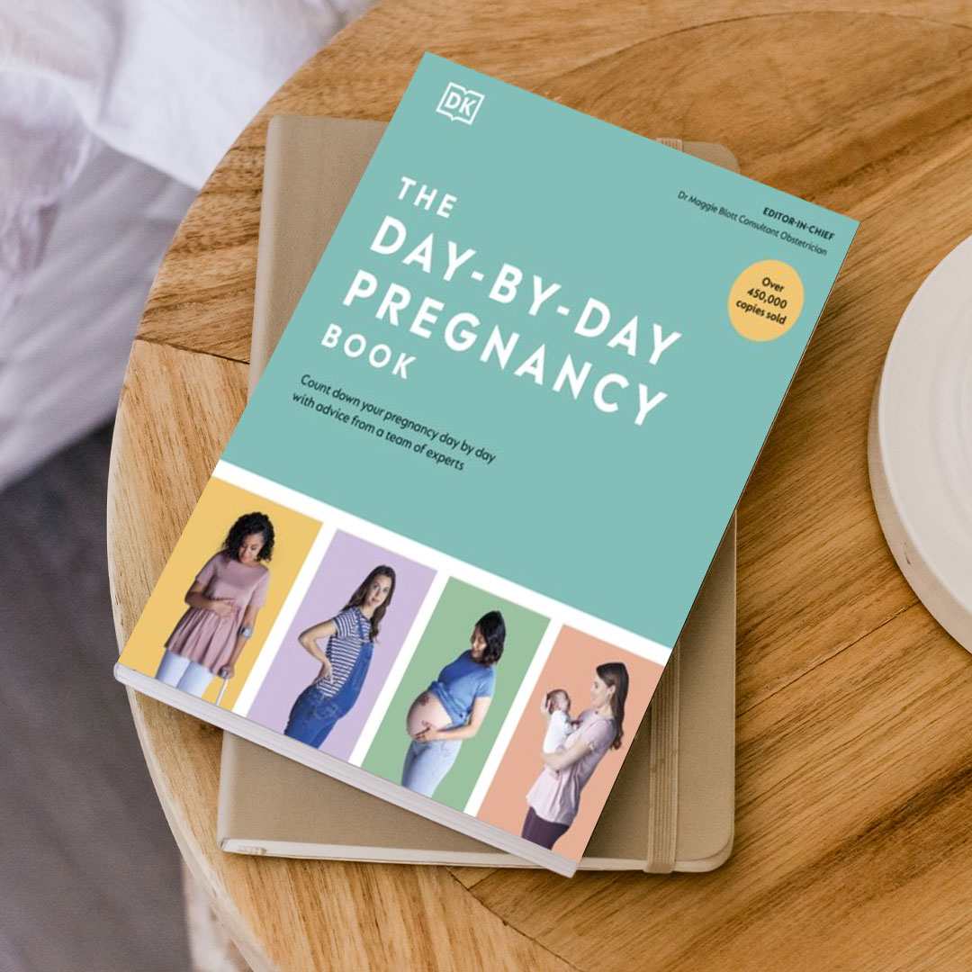 34% Off On DK The Day-by-Day Pregnancy Book | OneDayOnly