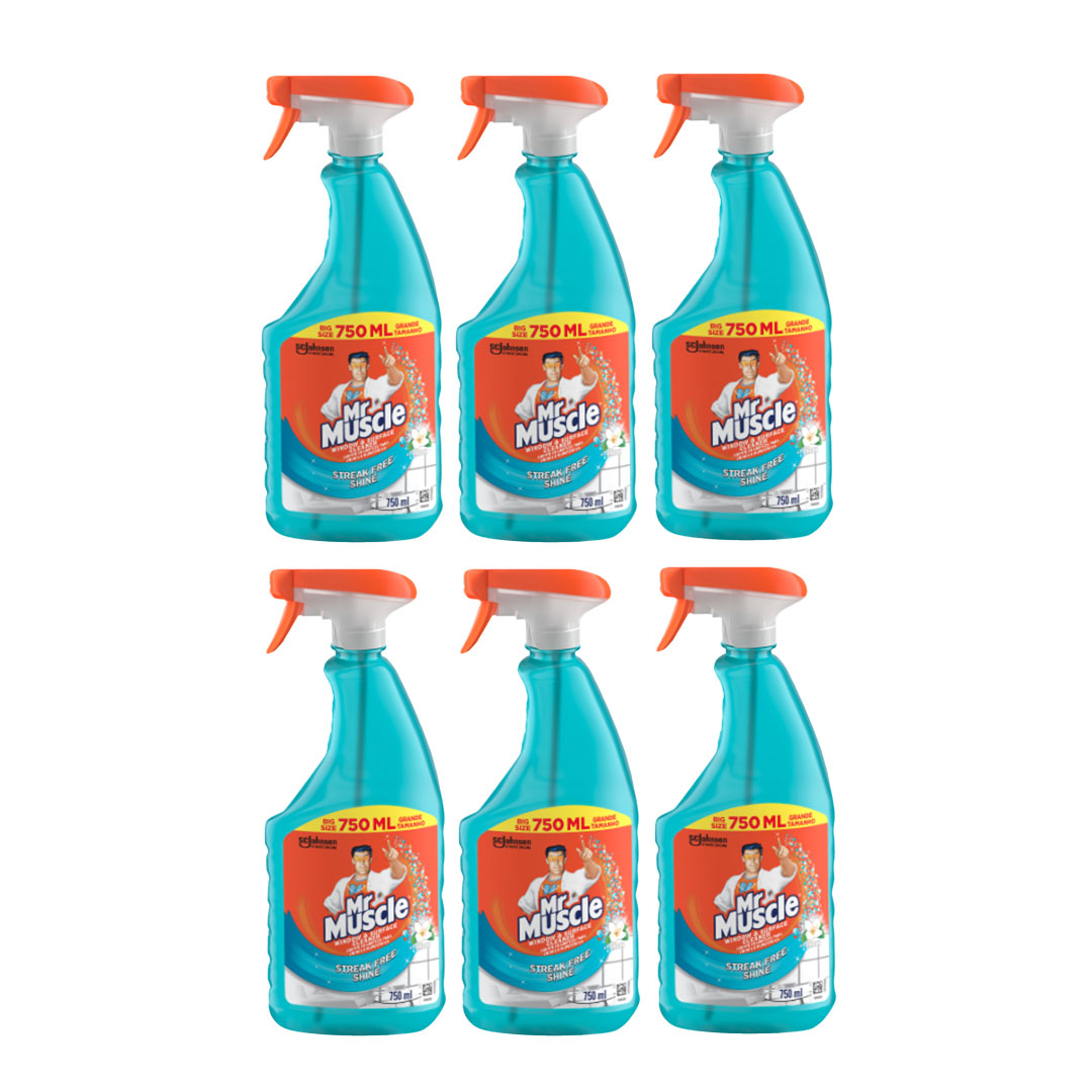 18-off-on-mr-muscle-6x-750ml-window-cleaners-onedayonly