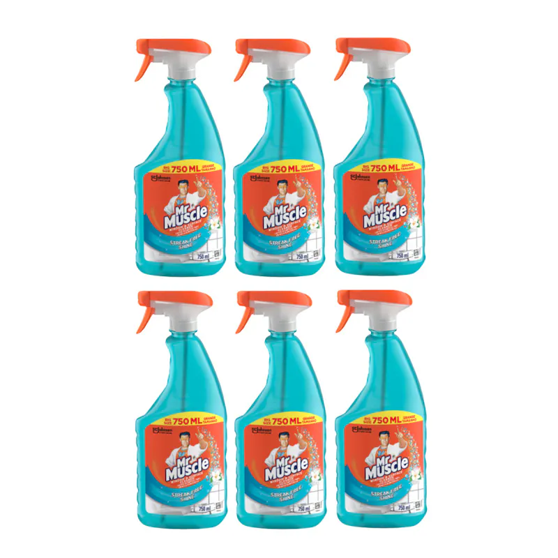18% off on Mr Muscle 6x 750ml Window Cleaners | OneDayOnly