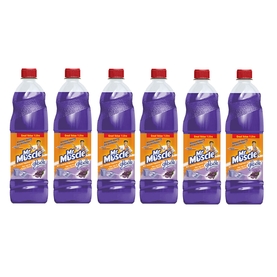 Mr Muscle 6x 1L All Purpose Cleaners OneDayOnly