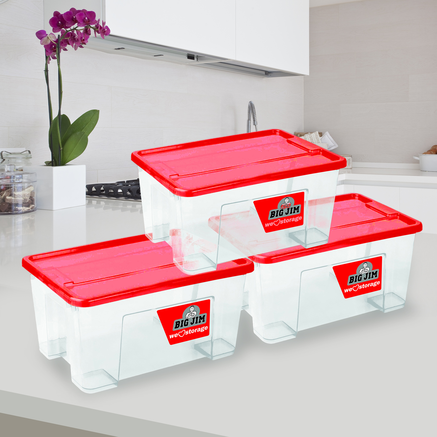 20 off on Big Jim 3Piece 13L Storage Set OneDayOnly