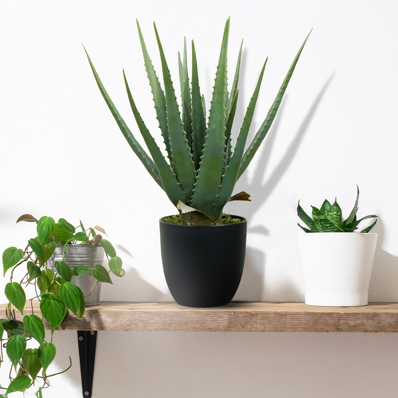 29 off on Artificial Indoor/Outdoor Pot Plant OneDayOnly