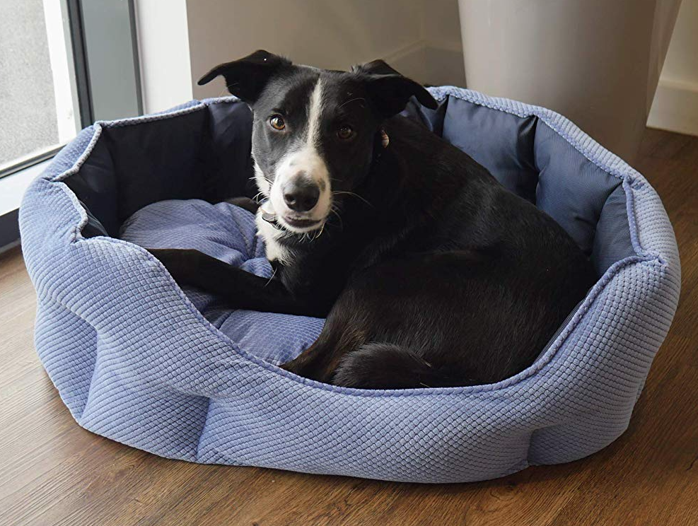 33 off on Navy Water Resistant Pet Bed OneDayOnly