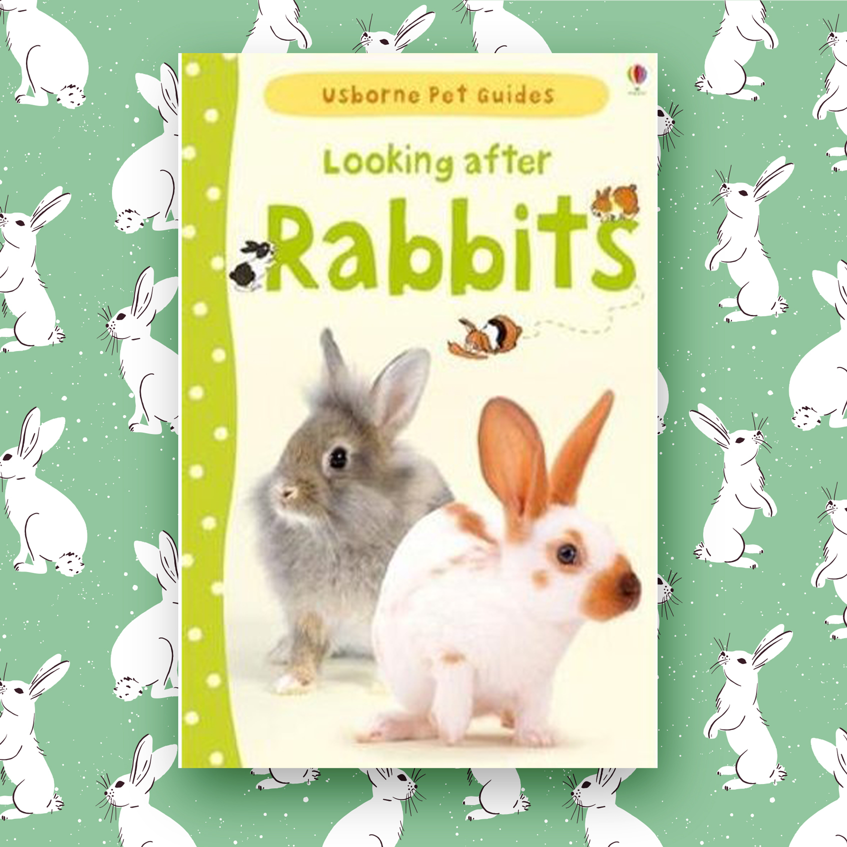 63 off on Looking After Rabbits (Hardback) OneDayOnly