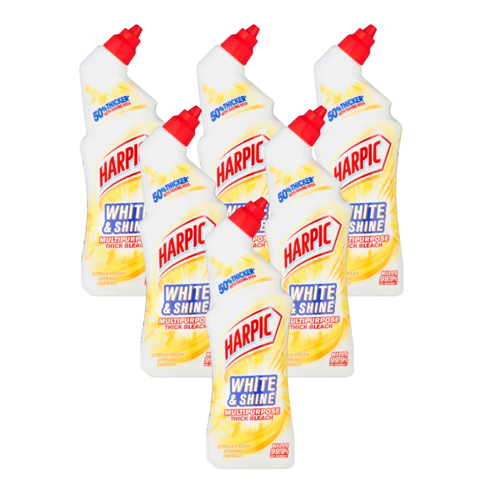 Citrus - Bundle Contents