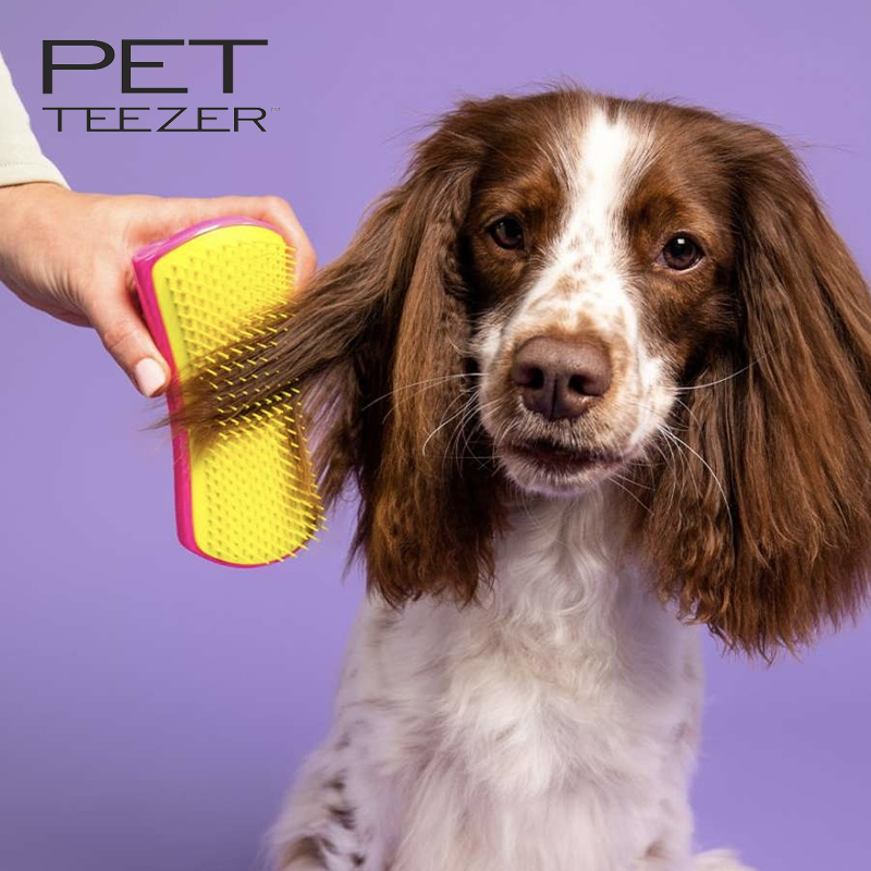 29 off on Dog Detangling & Grooming Brush OneDayOnly