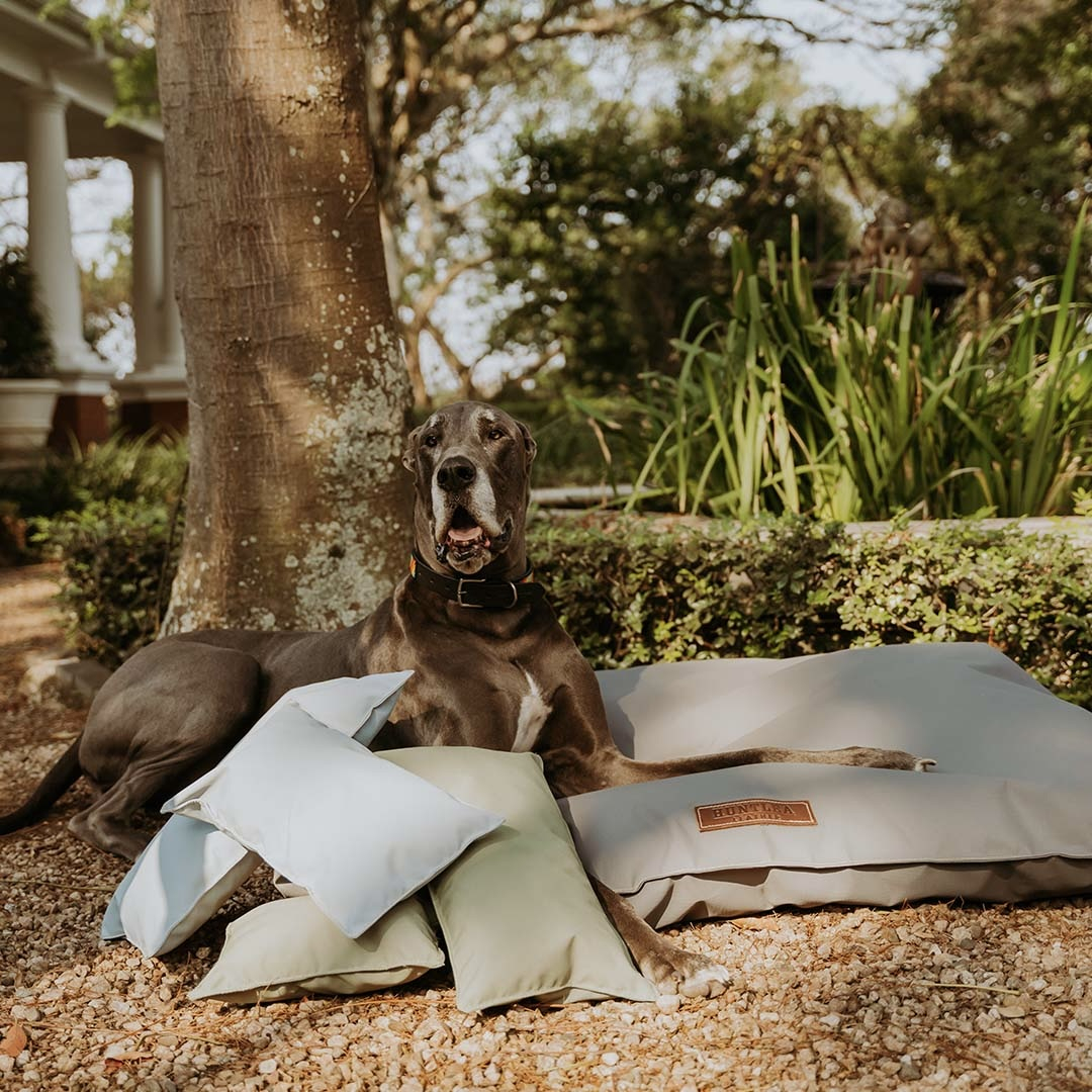 Pillows not Included