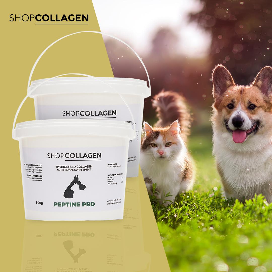 36 off on 1kg Collagen for Cats and Dogs OneDayOnly