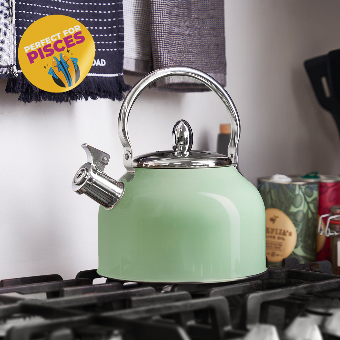 24 off on 2.7L Stove Top Whistling Kettle OneDayOnly