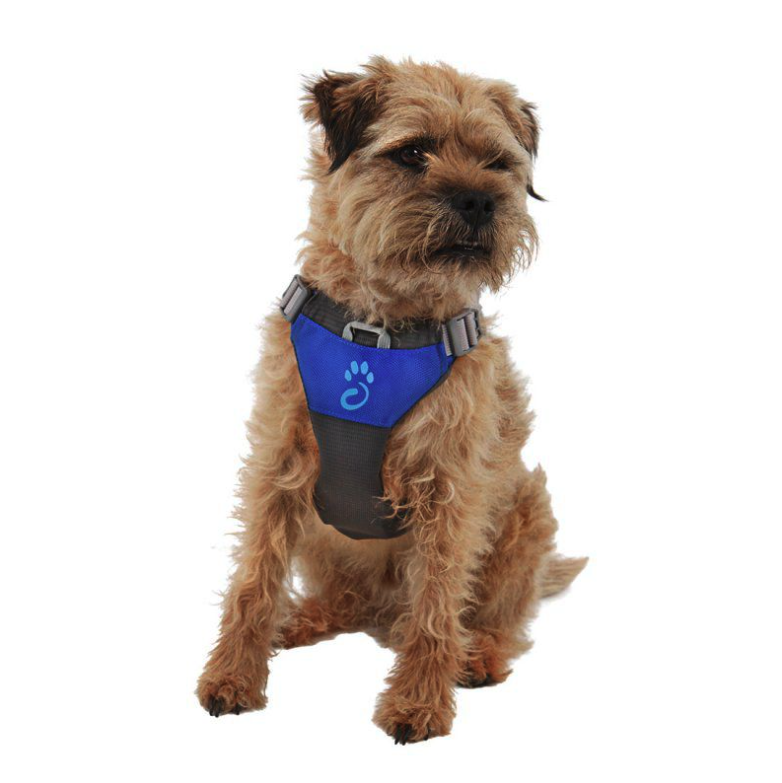27 off on Mountain Paws Blue Dog Harness OneDayOnly
