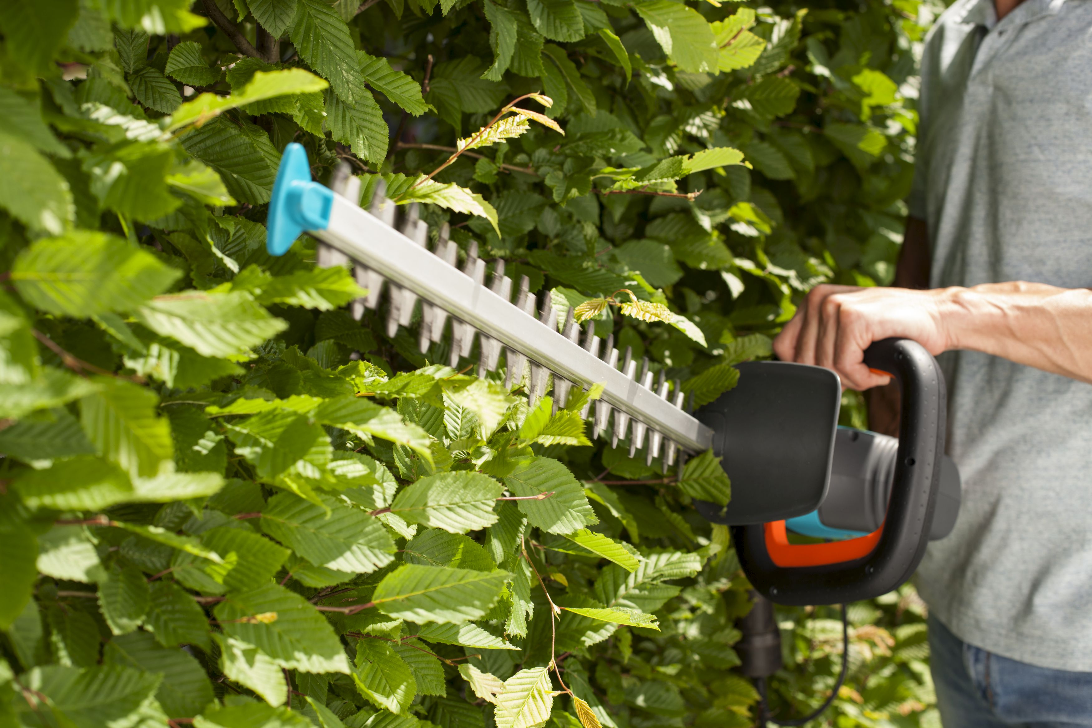 31 off on Gardena Electric Hedge Trimmer OneDayOnly
