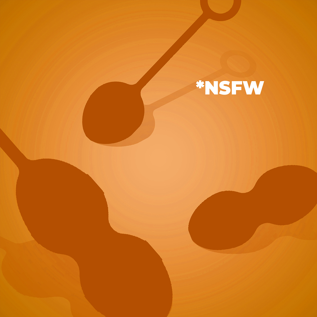 Nova Kegel Exercise Balls
