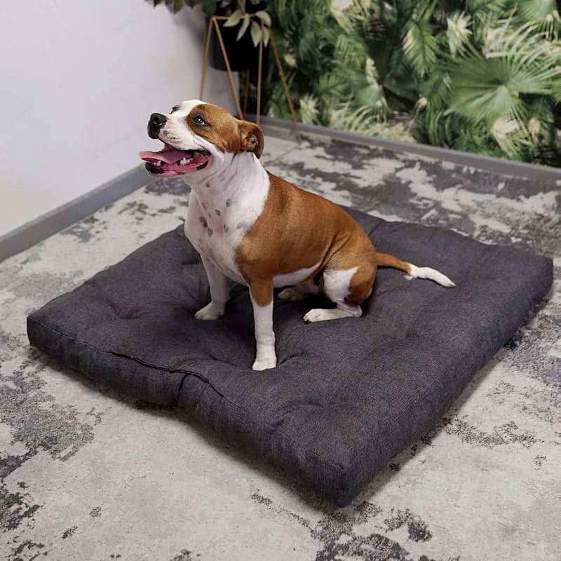 90cm dog shop bed