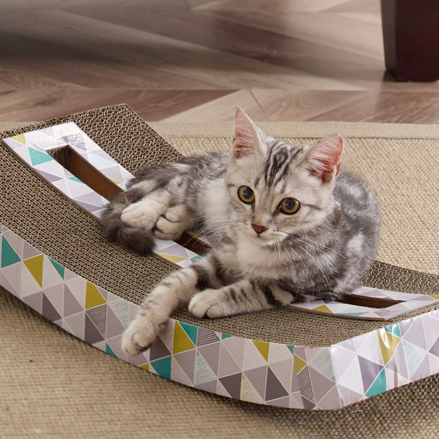 38 off on Scratch & Rock Toy OneDayOnly