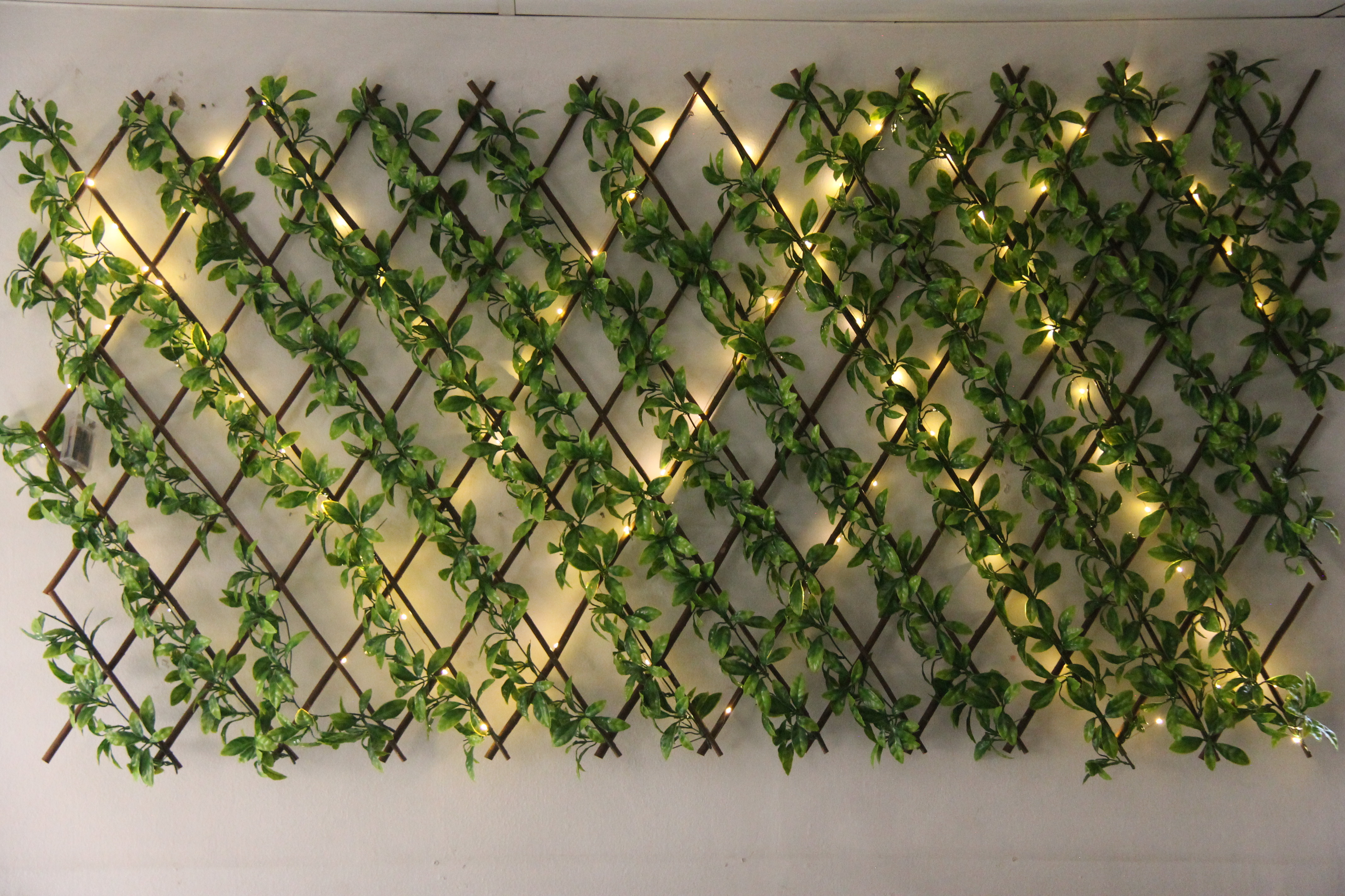 48 off on Expandable Trellis with Lights OneDayOnly
