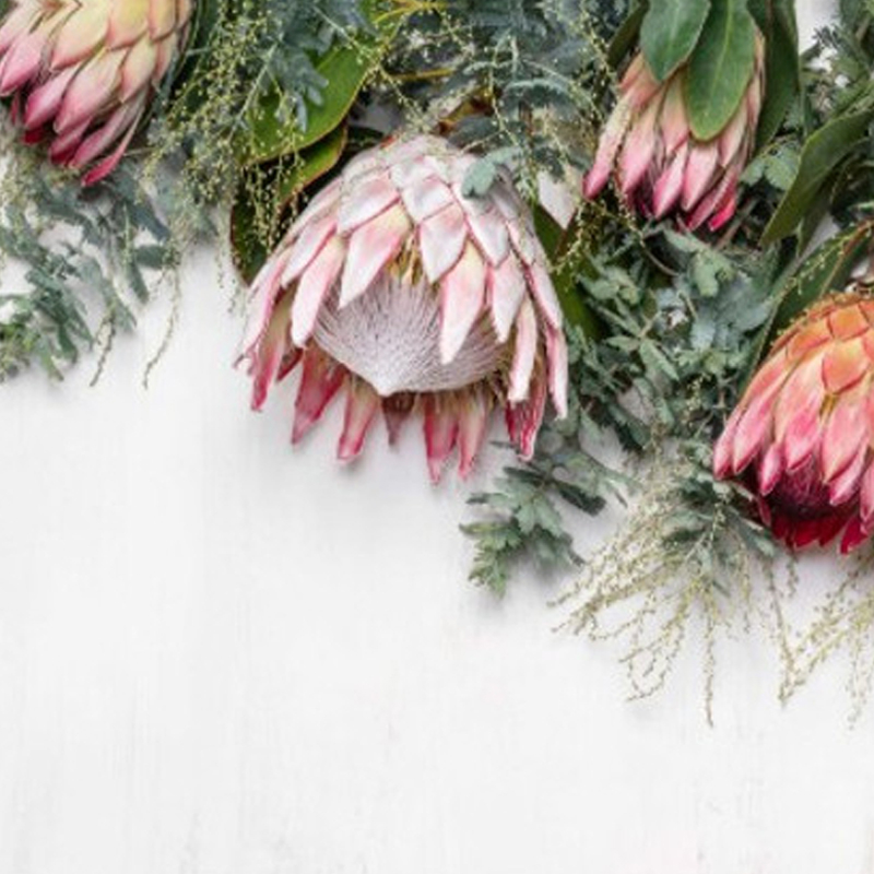 50 off on 48Piece Paper Placemats OneDayOnly