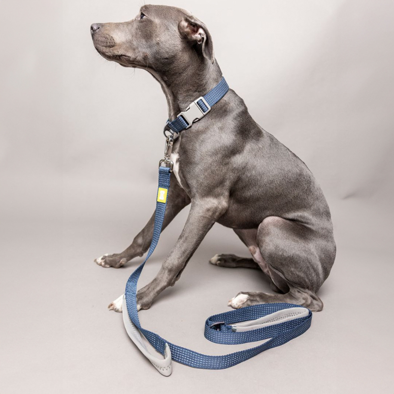 28% off on Built Pet Reflective Lead & Collar | OneDayOnly