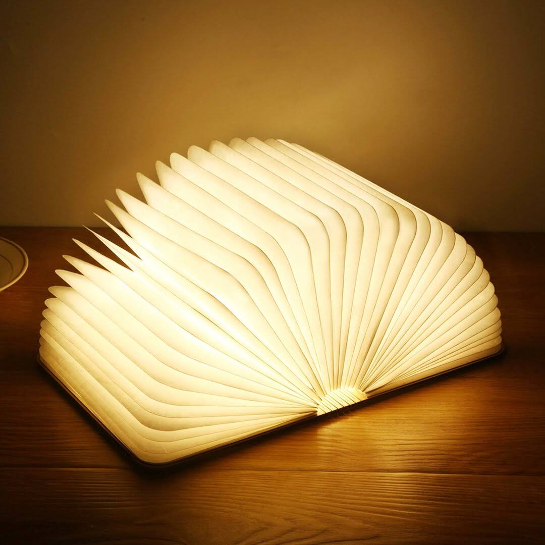 Novelty Rechargeable LED Book Night Light