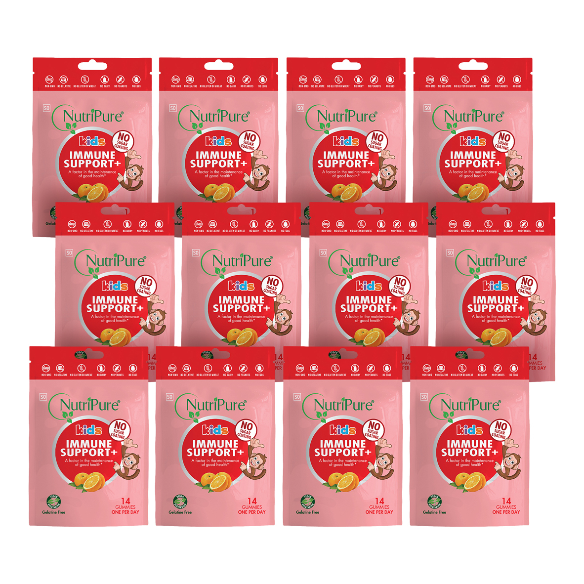 Immune Support - Bundle Contents