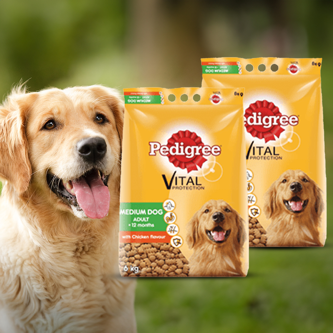 R50 off on Pedigree 2x 6kg Dry Dog Food | OneDayOnly