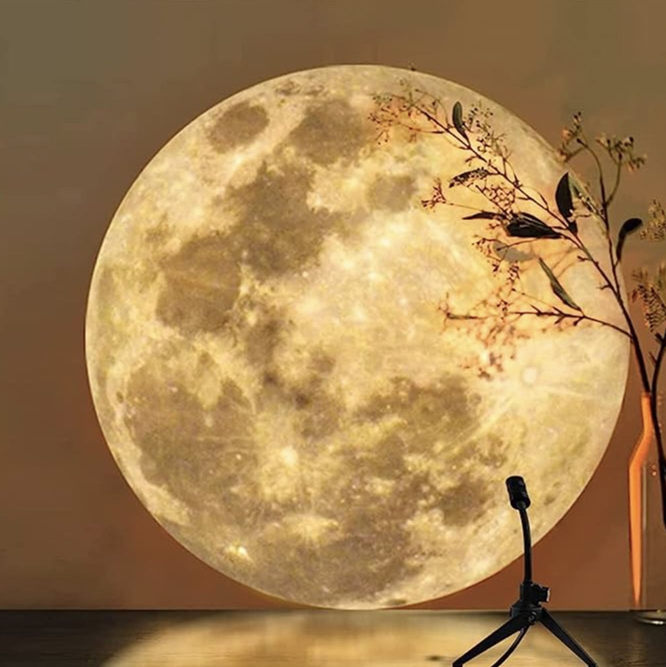 49% off on Light-Up 4-In-1 LED Lamp Projector | OneDayOnly