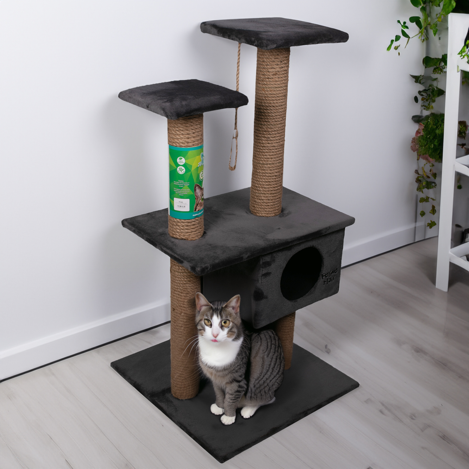 42 off on 3 Level Catnip CatScratcher OneDayOnly