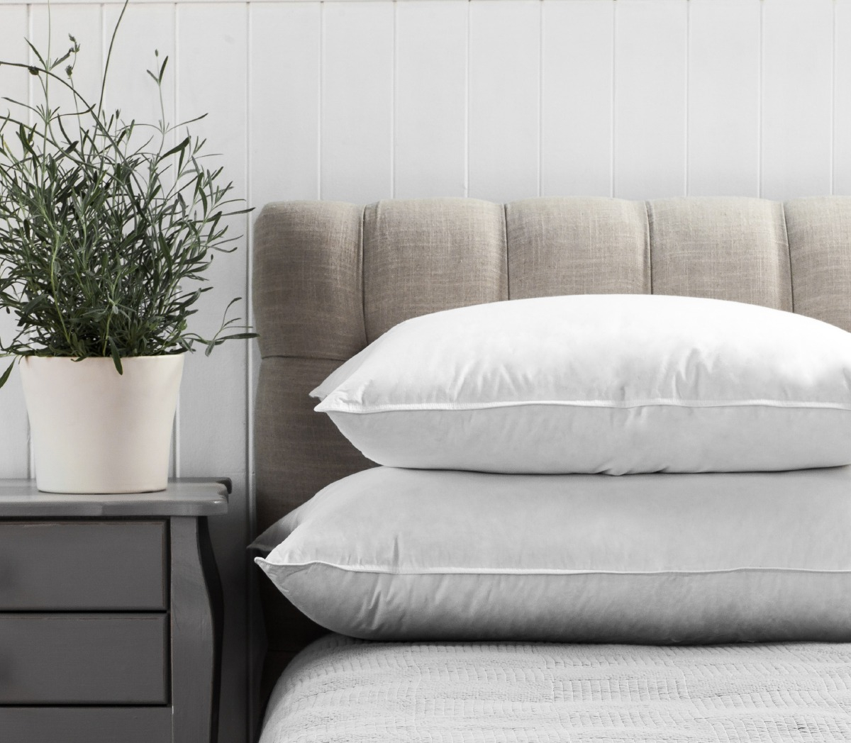 functionality illustration, not exact product