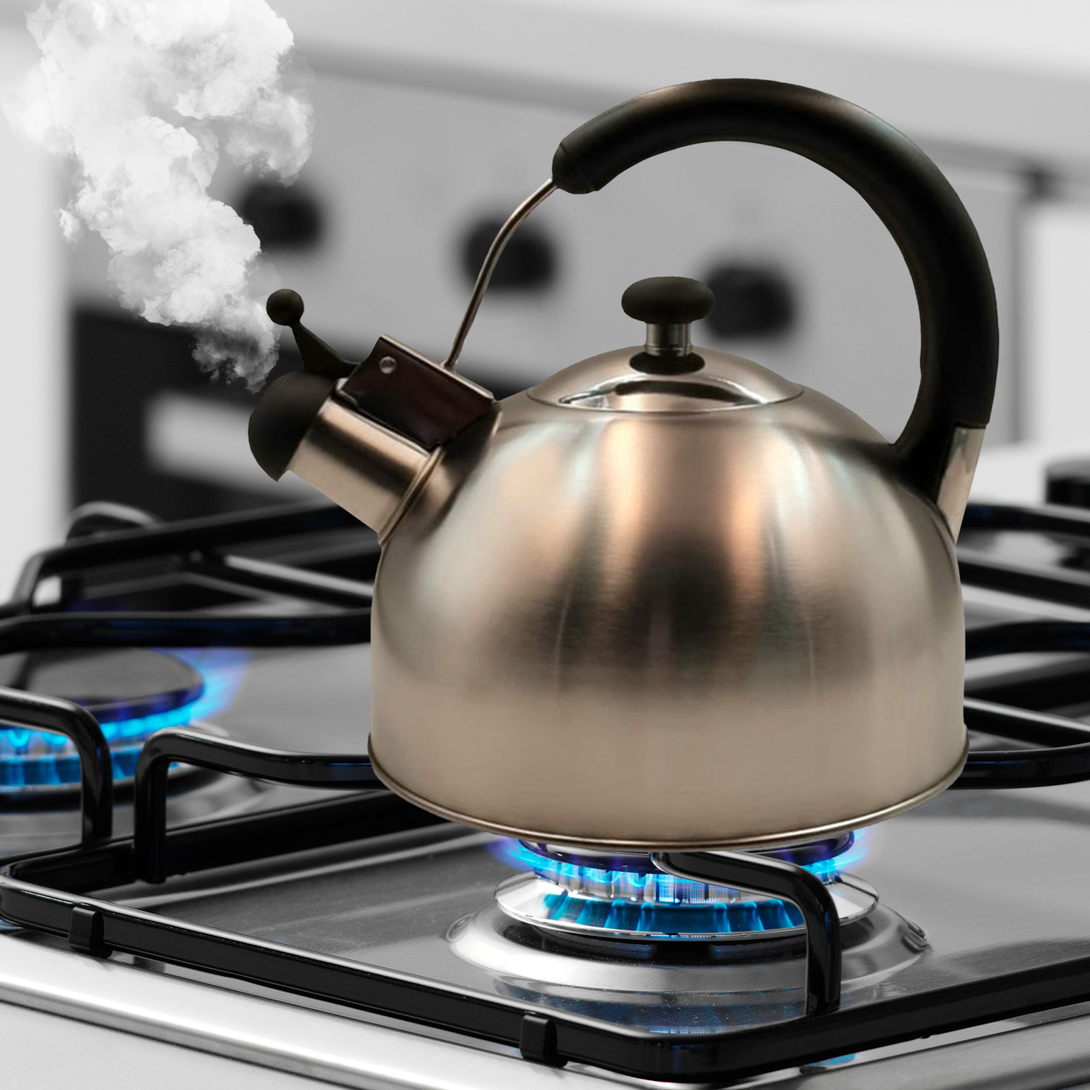 31 off on 2.8L Whisteling Stove Top Kettle OneDayOnly