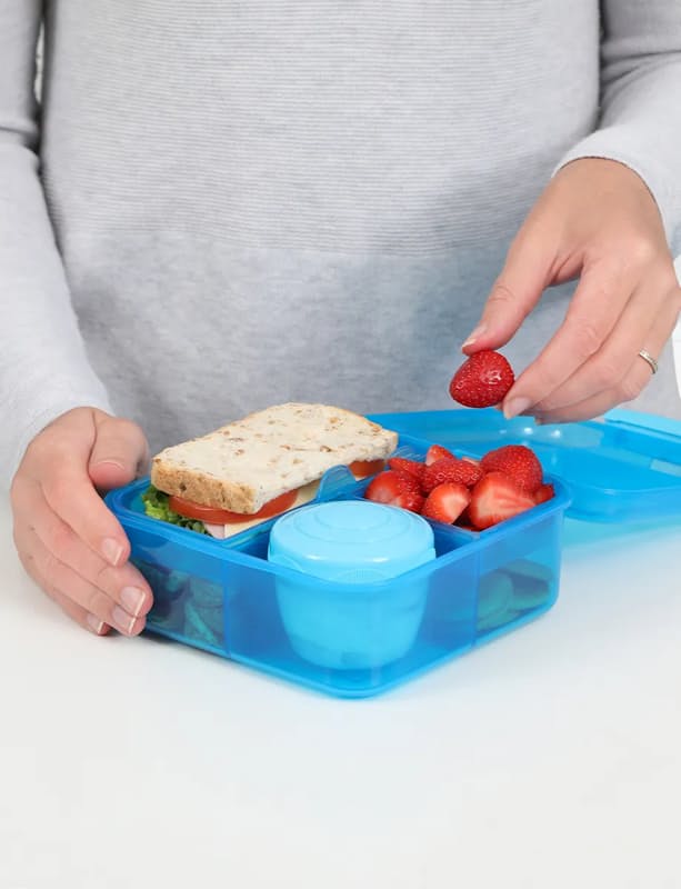 Sistema Lunch Cube Max Review - Eats Amazing.