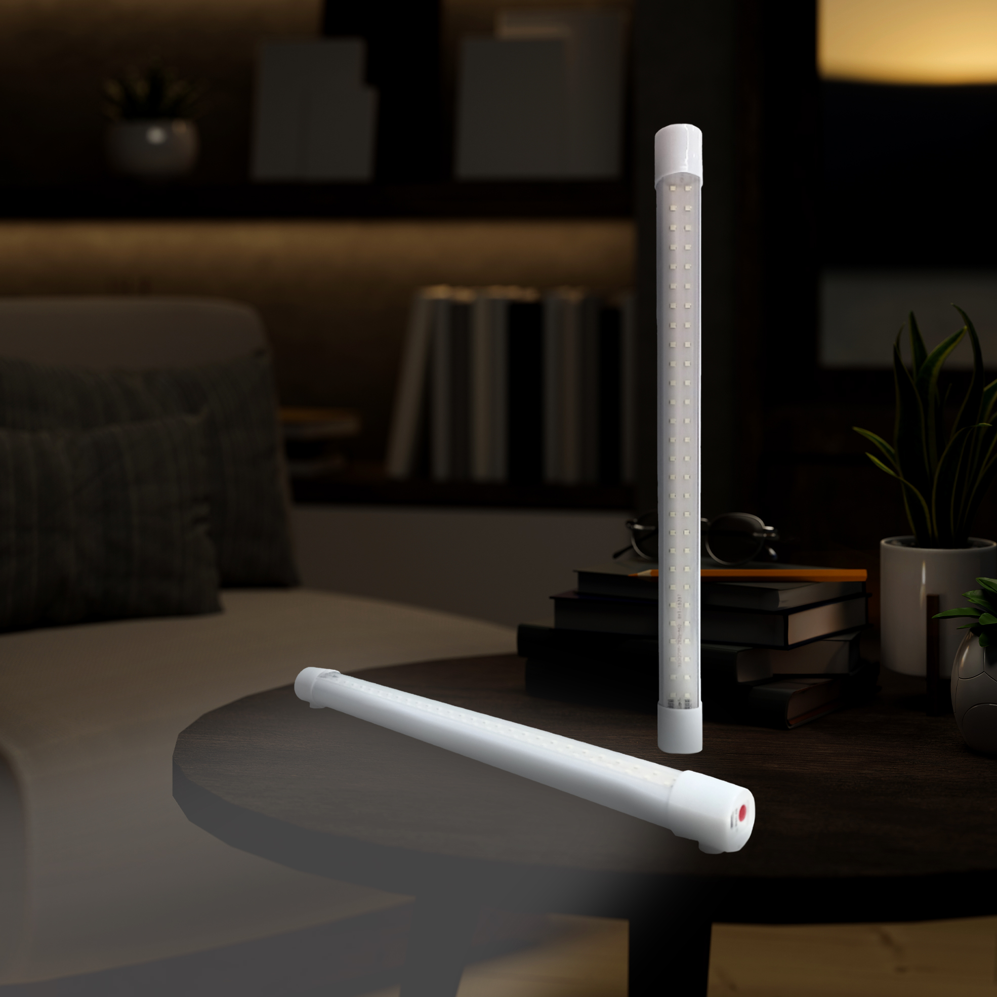 Tube Light with Flash Light