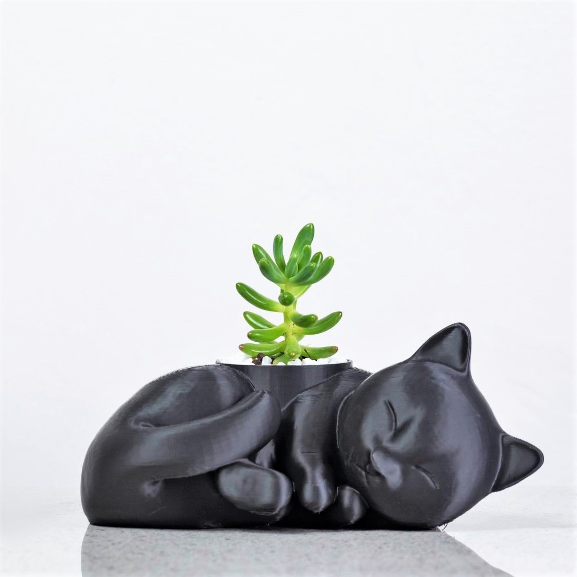 Zola the Cat Large Planter