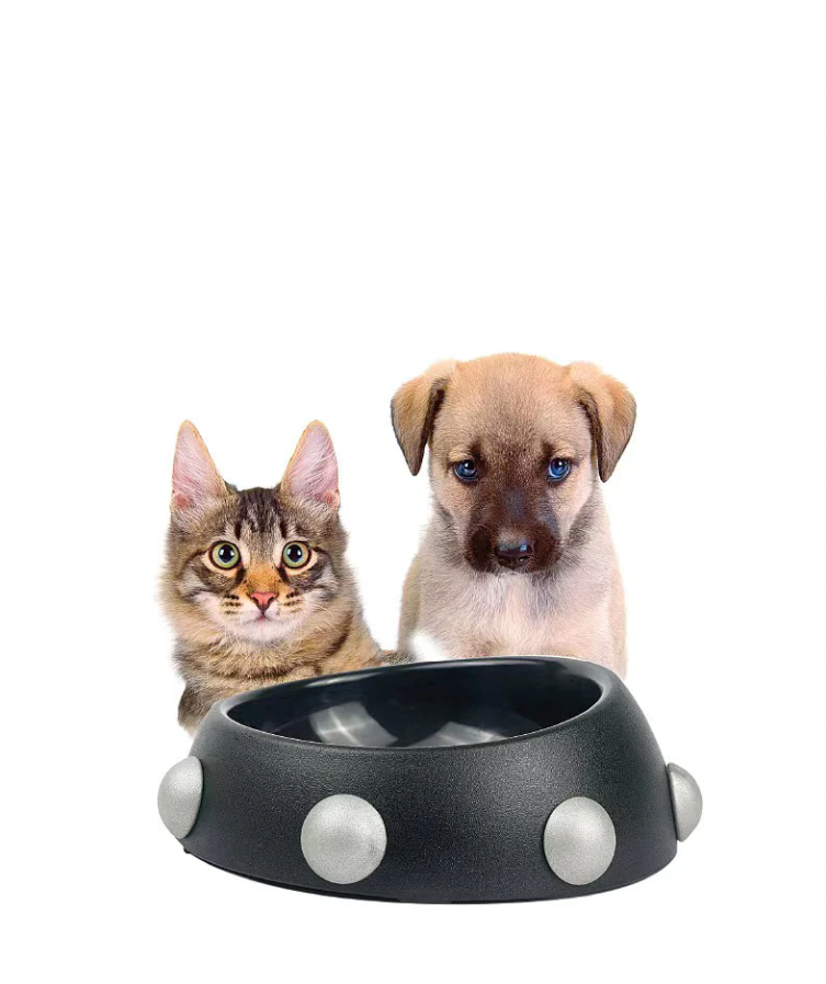 Raddix Black Pet Feeding Bowl