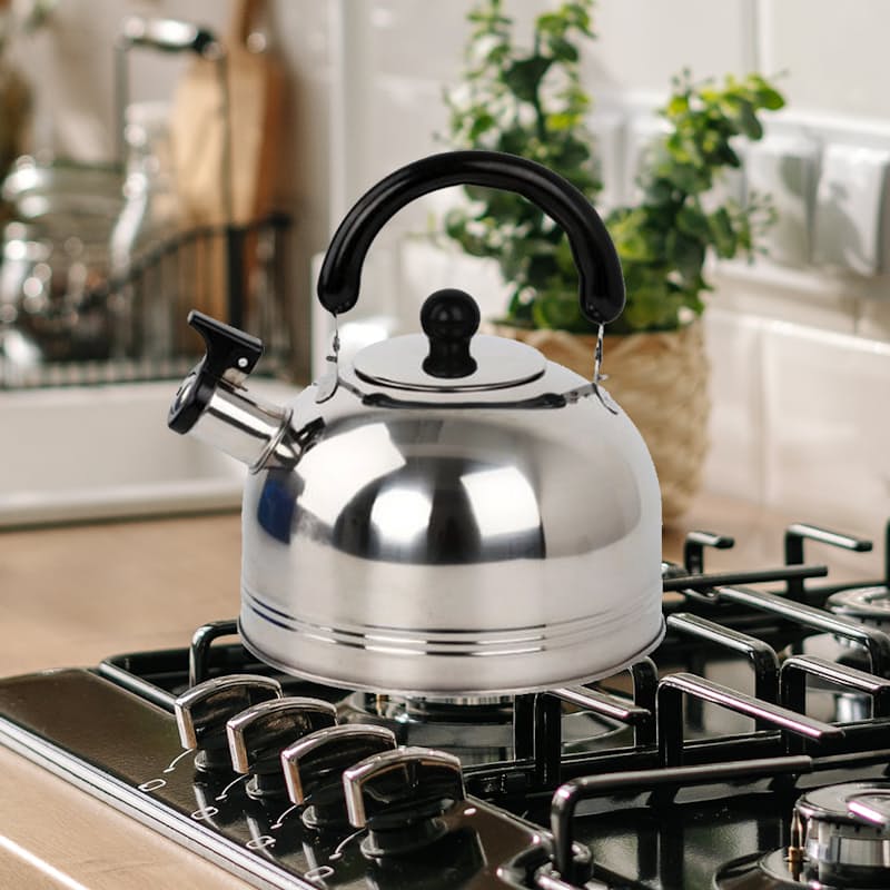 Stainless Steel Kettle Best Whistling Kettle For Gas Hob Safeway