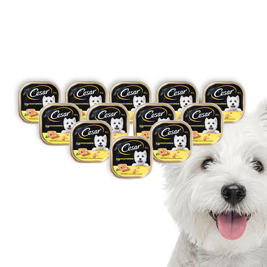 19 off on Cesar 12x 100g Wet Dog Food OneDayOnly